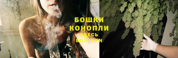 винт Дмитриев