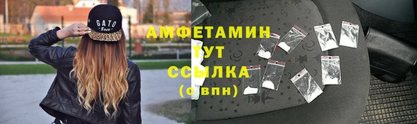 индика Дмитров