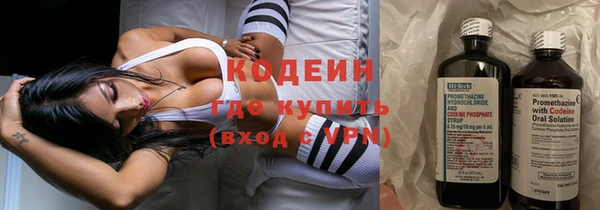 индика Дмитров