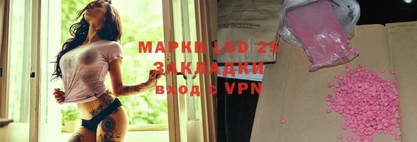 индика Дмитров