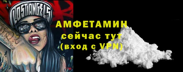 винт Дмитриев
