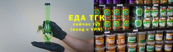 индика Дмитров