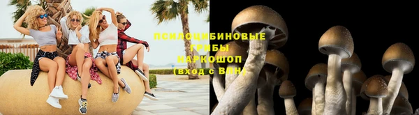 винт Дмитриев