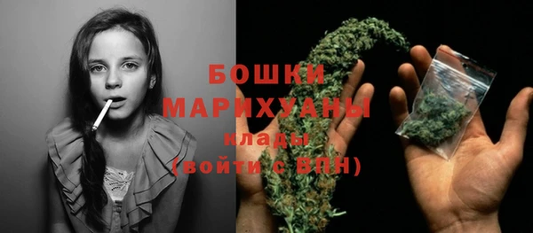 индика Дмитров
