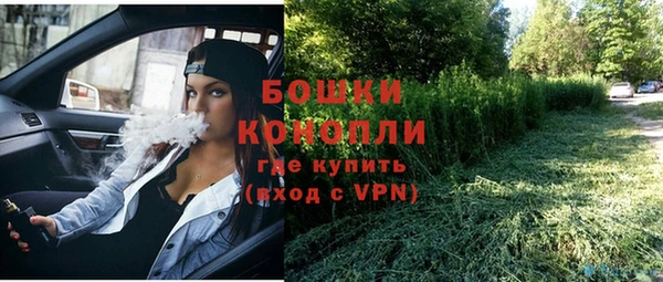 винт Дмитриев