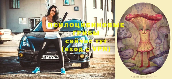 ГАЛЛЮЦИНОГЕННЫЕ ГРИБЫ Дмитровск