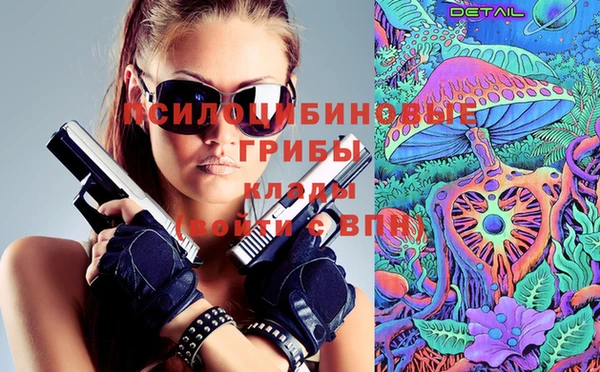 индика Дмитров
