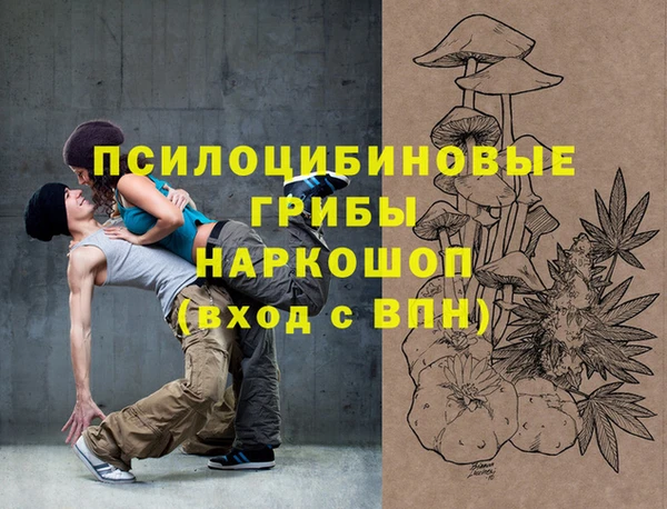 винт Дмитриев
