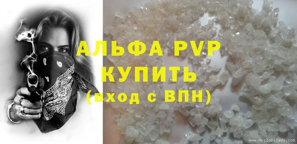 индика Дмитров