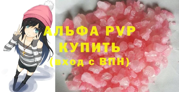 индика Дмитров