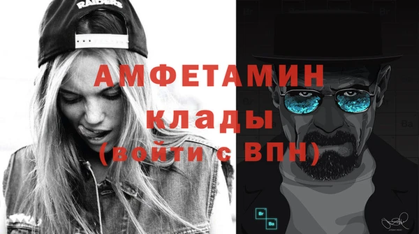 индика Дмитров