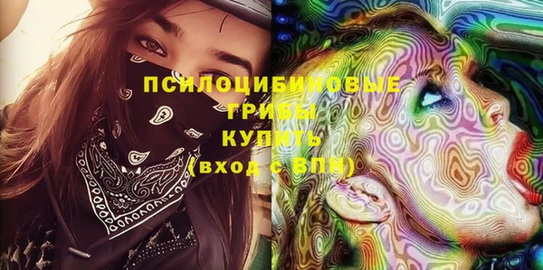 винт Дмитриев