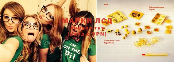 индика Дмитров